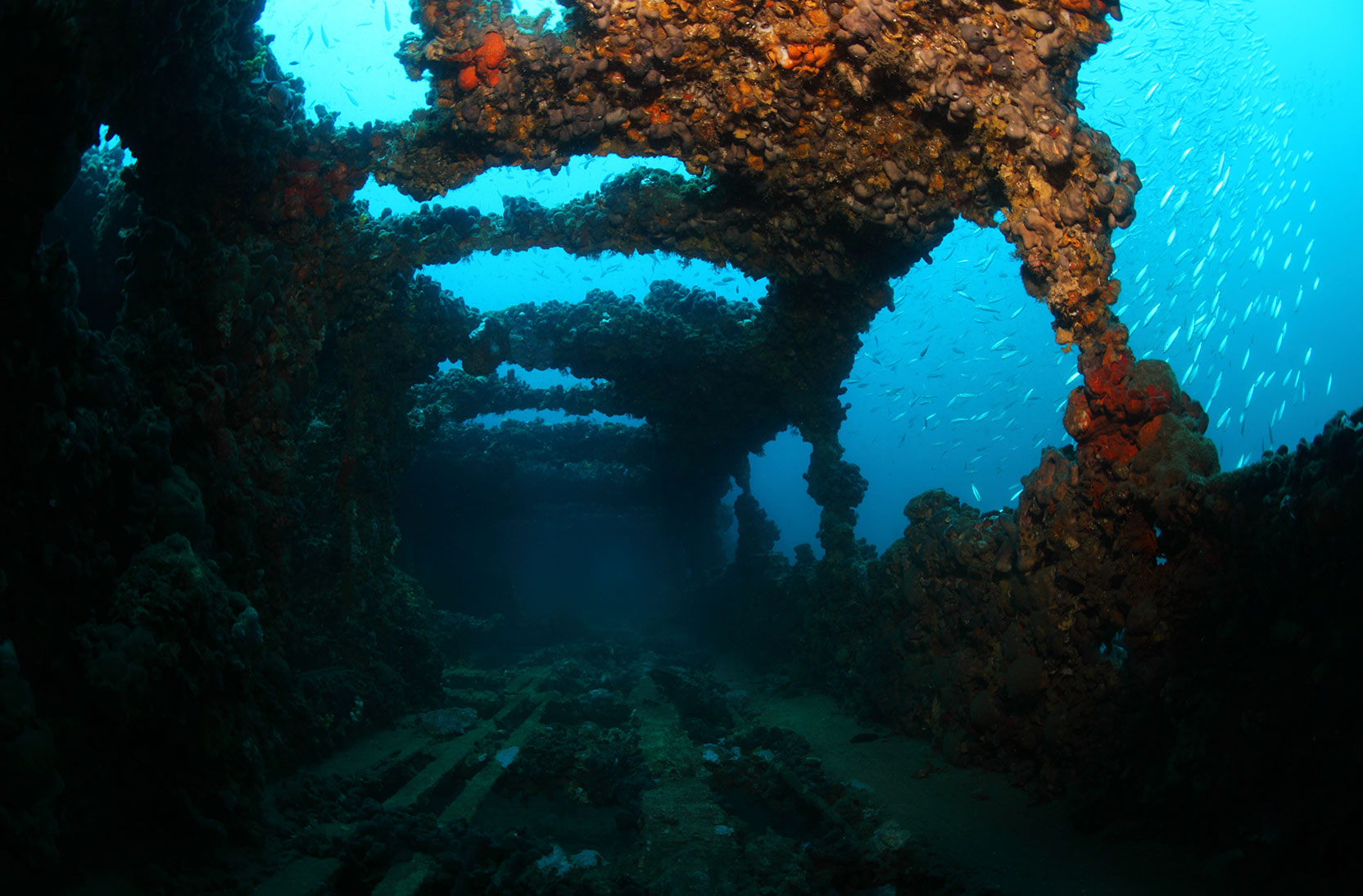 diving croatia