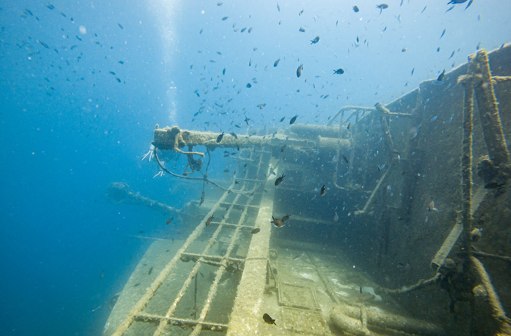 Ledenik Shipwreck