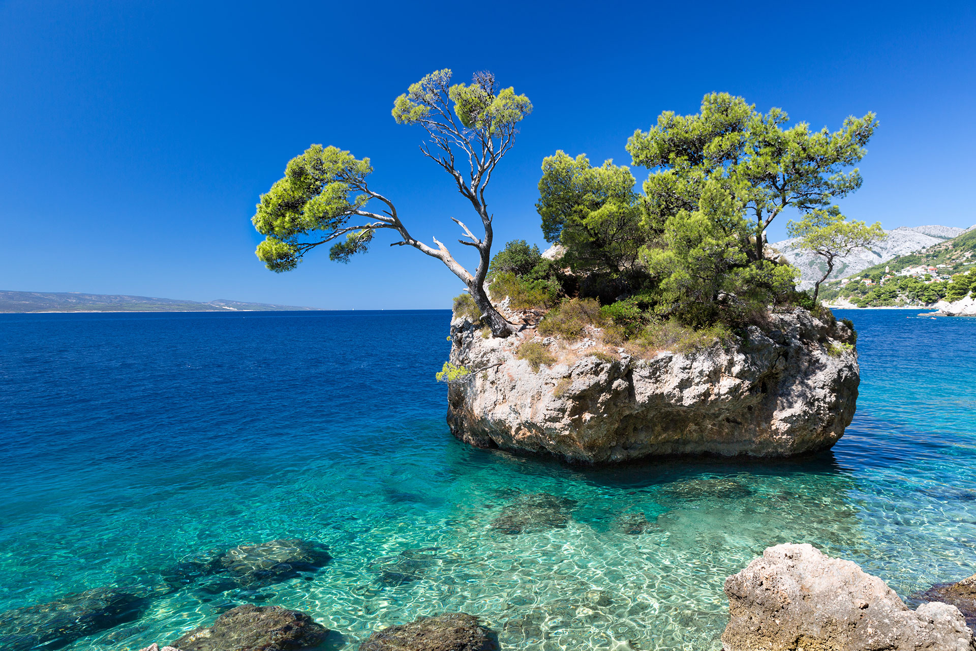 beach_adriatic_sea